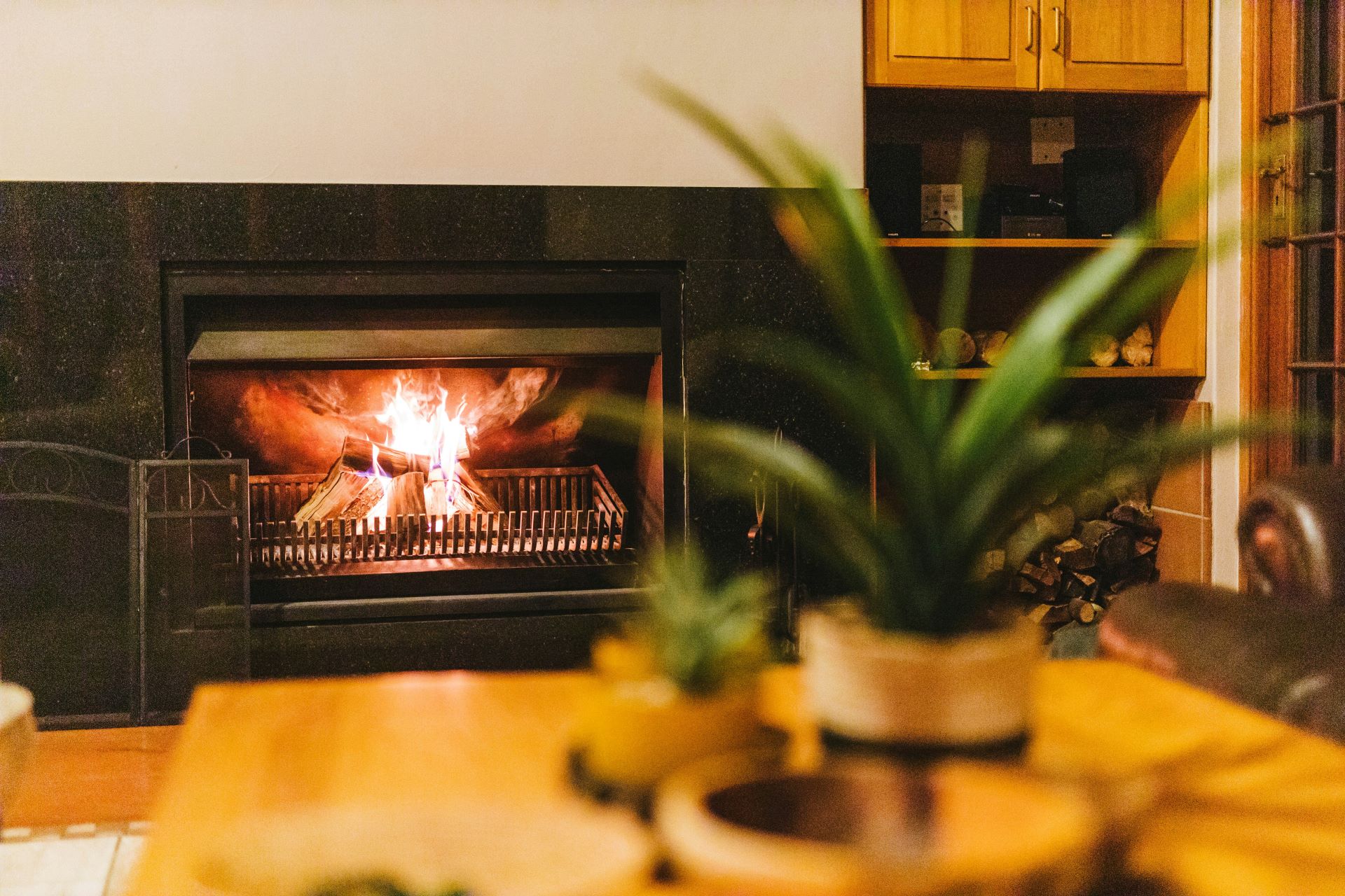 Gemütliches Wohnzimmer mit Kamin: Offenes Feuer hinter einer sauberen Glasscheibe, umrahmt von modernen Möbeln und Pflanzen für ein behagliches Ambiente.