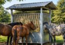 Robuste und clevere Futterstellen: So wählen Sie wetterfeste und platzsparende Modelle für Stall und Weide